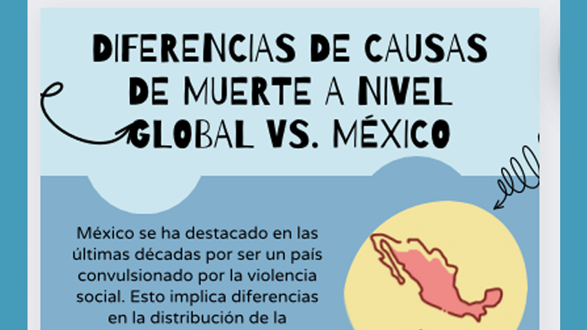 Imagen 6